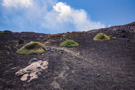 Vulcanic landscape on the Etnaの写真素材