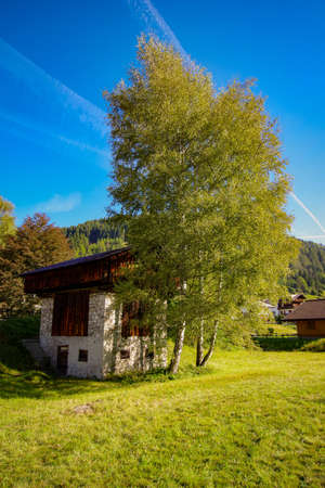 Little houses in the natureの写真素材