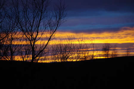 Yellow Sunset on a cold evening in the Black Forest.の写真素材
