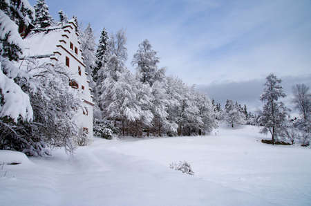 Cold Winter in the Black Forest.の写真素材