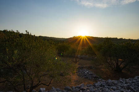 Beautiful sun and croatian landscapeの写真素材