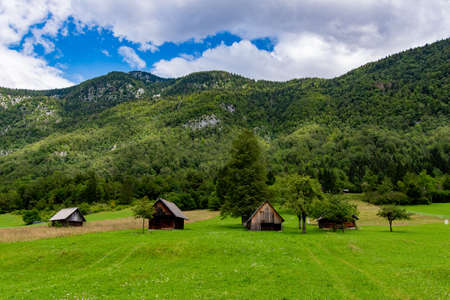 Triglav National Park. Near Bohinjska Jezero.の写真素材