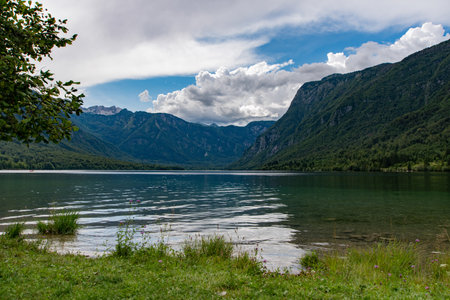 Triglav National Park. Near Bohinjska Jezero.の写真素材