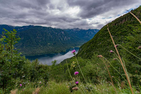 Triglav National Park. Near Bohinjska Jezero.の写真素材