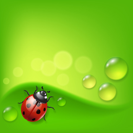 Green background with ladybird and dew.のイラスト素材