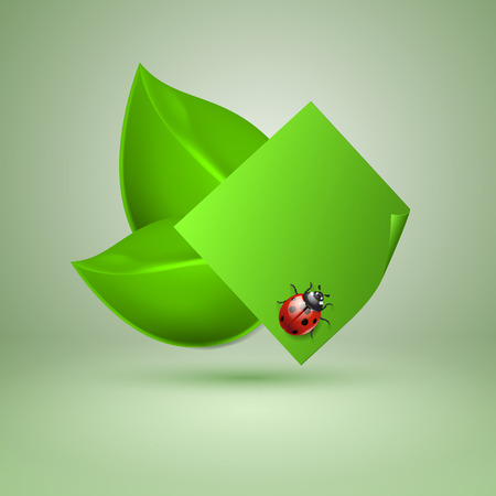Two green leaves with ladybird   のイラスト素材