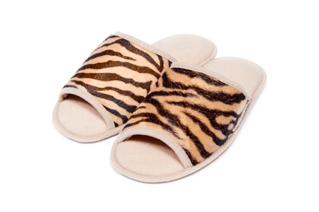 Slippers isolated on white backgroundの写真素材