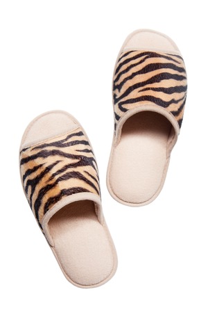 Slippers isolated on white background. Top view.の写真素材