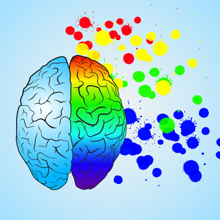 Colored left brain and right brain.のイラスト素材