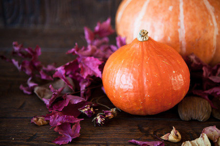 pumpkins with red leaves on old weathered wooden floorの写真素材
