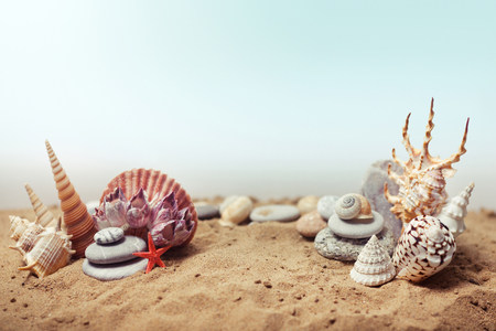 Sea shells with sand. Background with place for text.の写真素材