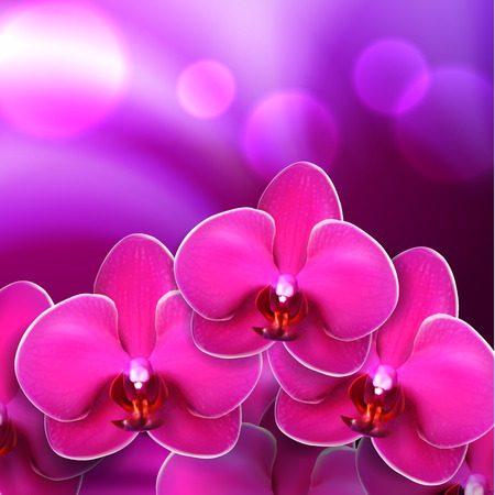 Pink flower orchid background.  vector.のイラスト素材