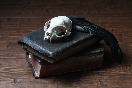 Cat skull, old books and crow quill on old wooden desk. Vintage witchcraft still life.