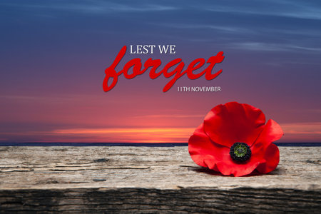 Poppy pin for Remembrance Day. Poppy flower on old beautiful high grain, detailed wood on background of sunset sky. Lest We Forget.の写真素材