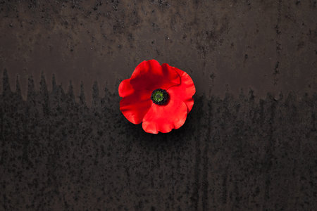 Poppy flower on rusty iron background. Decorative flower for Remembrance Day. Memorial Day. Veterans day.の写真素材