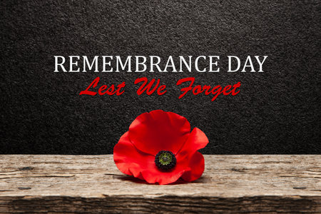 Poppy pin for Remembrance Day. Poppy flower on old beautiful high grain, detailed wood on black textured background with text.の写真素材