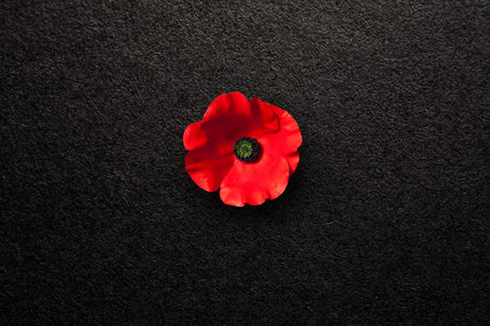 Poppy flower on black textured background. Decorative flower for Remembrance Day. Memorial Day. Veterans day.の写真素材