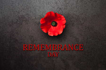 Remembrance Day inscription with Poppy flower on rusty iron background. Decorative flower for Remembrance Day. Memorial Day. Veterans day.の写真素材