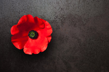 Poppy flower on rusty iron background with place for your text. Remembrance Day.の写真素材