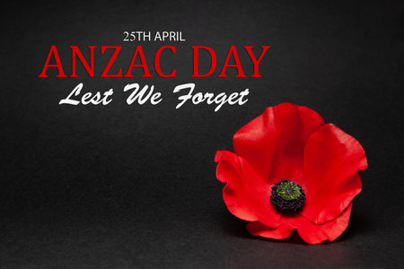 The remembrance poppy - poppy appeal. Poppy flower on black background. Decorative flower for Anzac Day.の写真素材