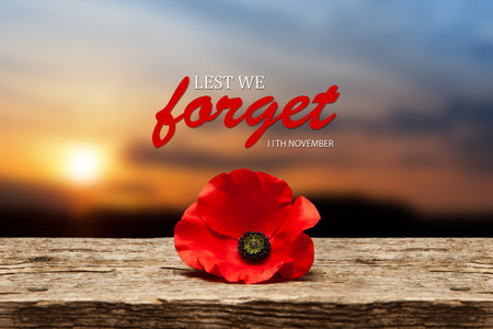 Poppy pin for Remembrance Day. Poppy flower on old beautiful high grain, detailed wood on background of sunset sky. Lest We Forget.の写真素材