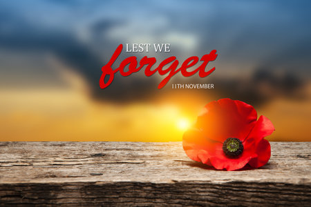 Poppy pin for Remembrance Day. Poppy flower on old beautiful high grain, detailed wood on background of sunset sky. Lest We Forget.の写真素材