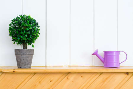 the watering pot made tree growed upの写真素材