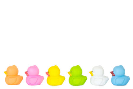 cute colorful duck isolated on white backgroundの写真素材