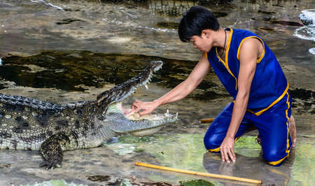 dangerous crocodile show at Suan sam phran, Nakorn Phratom, Thailandのeditorial素材