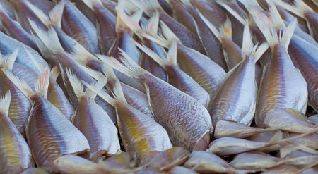 group of no head fishes in rural market in Aung Sila Fish Market, Chonburi, Thailandの写真素材