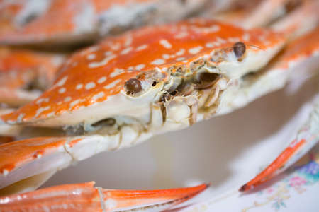 big sea crabs prepared on wooden tableの写真素材