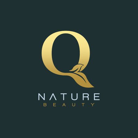 Letter O Luxury Letter Logo Design Vector Iconのイラスト素材