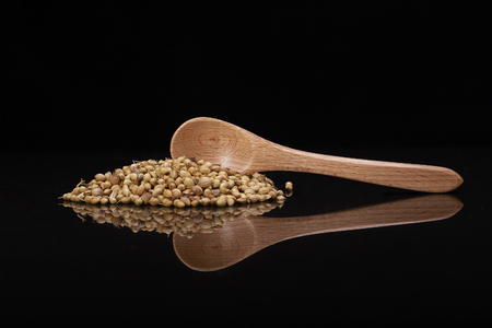 Coriander seed isolated over Black background with wooden spoonの写真素材