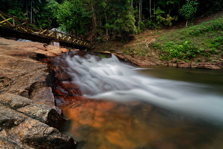 The beautiful evergreen paradise of the waterfallの写真素材