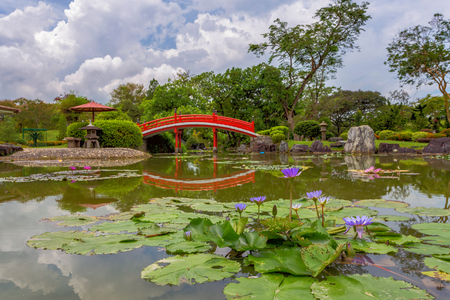 Beautiful Japanese Garden and red bridge in botanical gardenの写真素材