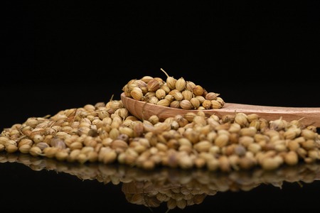 Coriander seed isolated over Black background with wooden spoonの写真素材