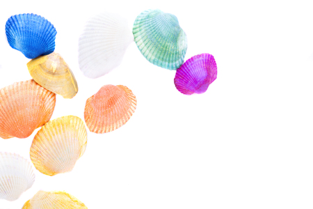 Colorfull seashell isolated over white background with copyspace