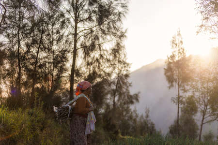 8 may 2018, Probolinggo-wonolerto , Suraba, indonesia : An old woman search firewood for cookingのeditorial素材