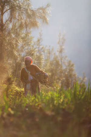 8 may 2018, Probolinggo-wonolerto , Suraba, indonesia : An old woman search firewood for cookingのeditorial素材