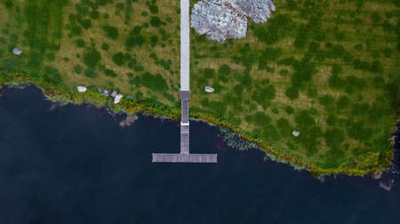 Natural abstract texture of forest fern leaves, nature background, tropical climate. Close-up of a rich green bush as a decoration spaceの写真素材