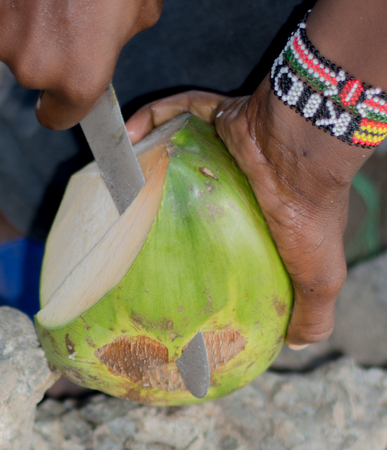 Peeling a coconutの写真素材