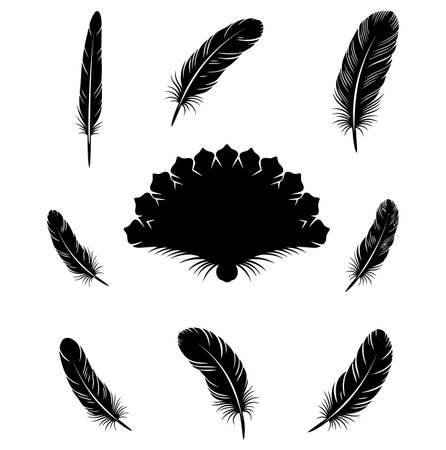 this image showcases a collection of black and white feathers arranged around a central decorative feather shape, creating an elegant and artistic design elementのイラスト素材