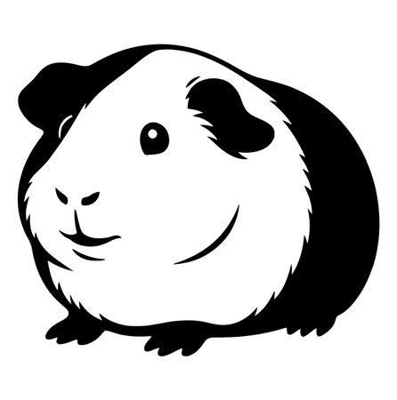 a black and white vector illustration of a guinea pig, featuring its cute face, small feet, and a smiling expression, rendered in a minimalist and graphic style.のイラスト素材