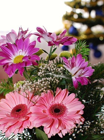 Detail image of pink flower with christmas tree.の写真素材