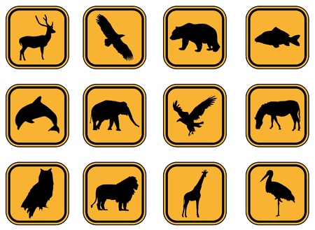 Vector graphic set of animal icons.のイラスト素材