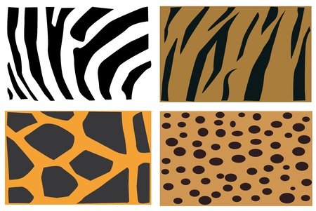 Detail illustration of animals fur pattern.のイラスト素材