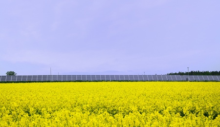 Yellow rape field with solar power station.の写真素材
