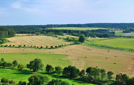 View on the fields and meadow in Middle Bohemia (Czech Republic).の写真素材