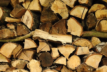 Stack of pile wood in woodhouse. 