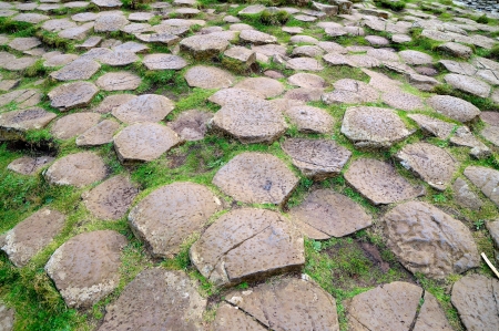Closeup shot of Giants Causeway stones の写真素材